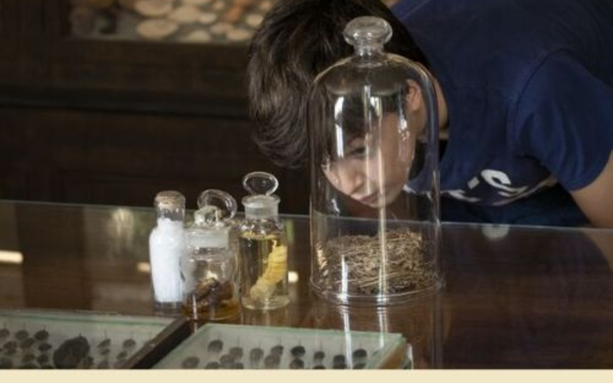 Jean-Henri Fabre aurait-il pu prédire le déclin des insectes ? par Romain Garrouste, Museum national d'Histoire naturelle