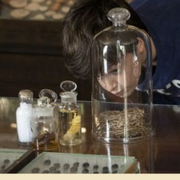 Jean-Henri Fabre aurait-il pu prédire le déclin des insectes ? par Romain Garrouste, Museum national d'Histoire naturelle