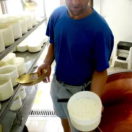 Le Munster : on en fait tout un fromage !
