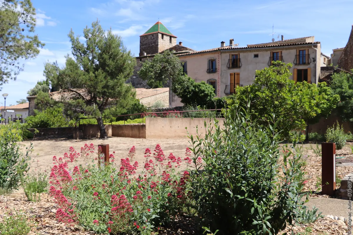 Jema Visite Guidée Saint Jean De Fos