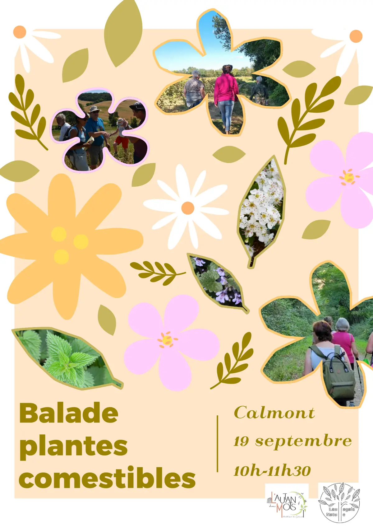 Jep 2026- Balade Plantes Comestibles
