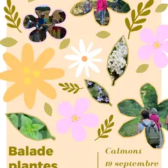 Jep 2026- Balade Plantes Comestibles
