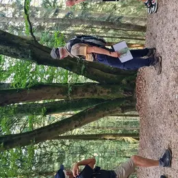 JEP 2026 - Balade sur les arbres remarquables dans le massif de l'Avison