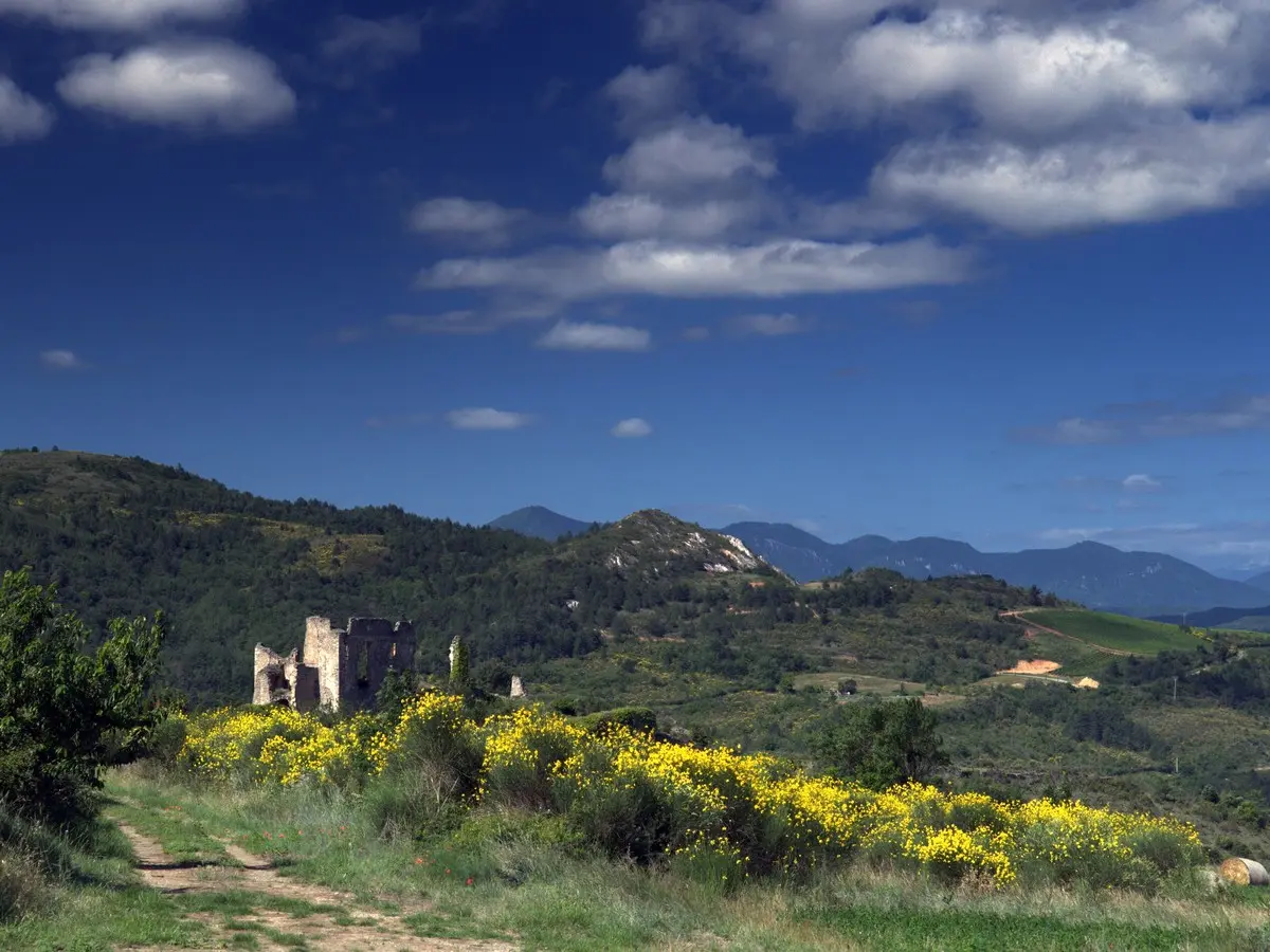 Jep 2026 - Château De Coustaussa