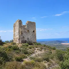Jep 2026 - Decouverte Du Patrimoine De Fitou