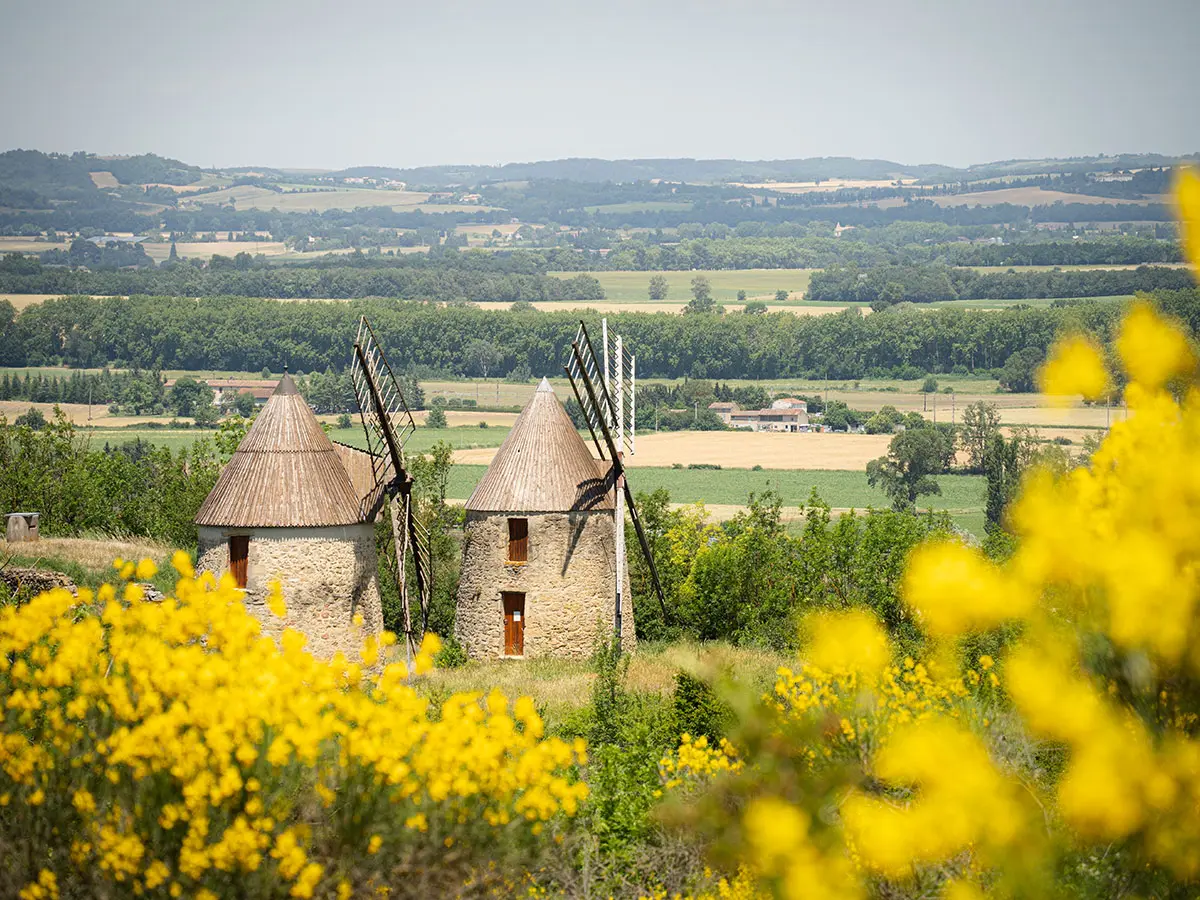 Jep 2026 - Les Moulins Du Mas-Saintes-Puelles