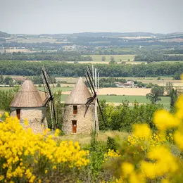 Jep 2026 - Les Moulins Du Mas-Saintes-Puelles