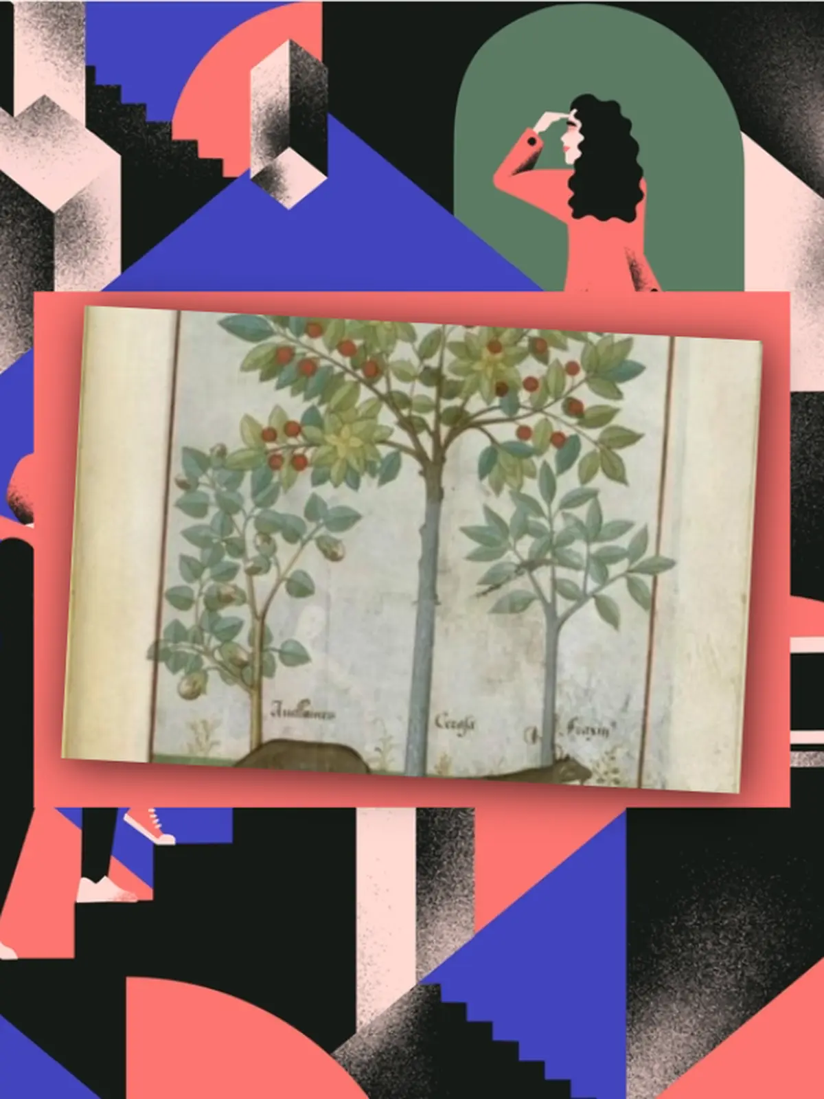 JEP 2026 - Levez les yeux ! Découverte de l'illustration botanique