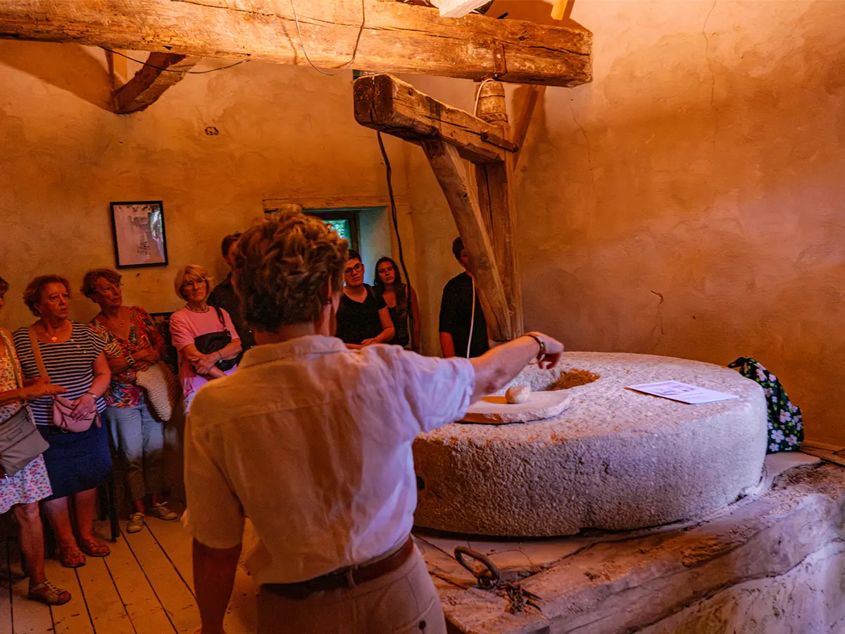 Jep 2026 - Visite Commentée Du Site, Moulin à Eau, Clairière Des Chênes, Théatre De Verdure