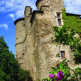JEP 2026 - Visite du château médiéval de Taurines