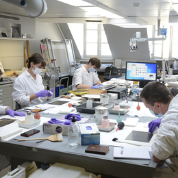 JEP 2026 : Visites de l'atelier de restauration de photographies