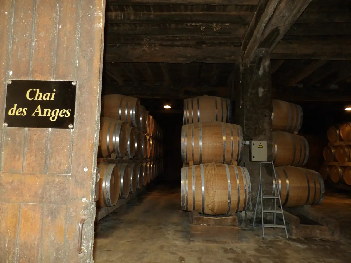 JEP : Domaine d'Ognoas