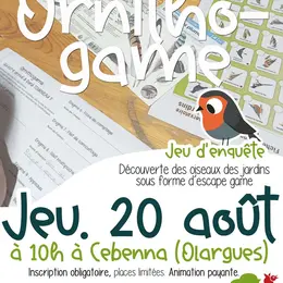 Jeu D'Enquête : Ornithogame