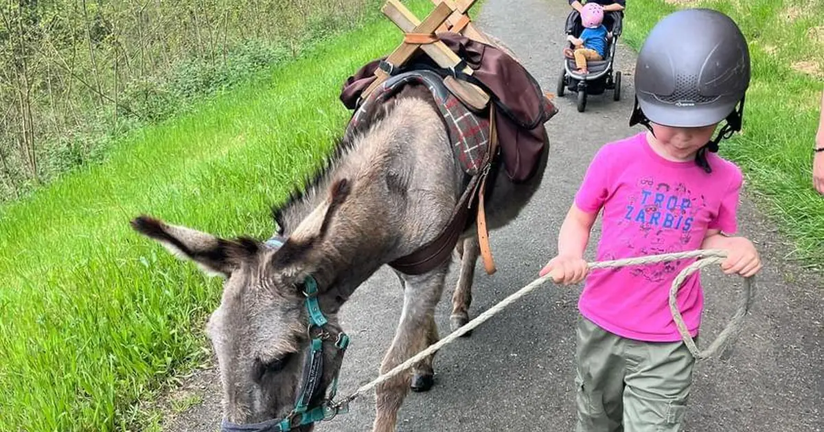 Jeu de piste à la découverte d'Uzerche avec les ânes