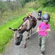 Jeu de piste à la découverte d'Uzerche avec les ânes