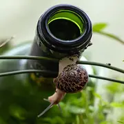 Jeu De Piste à La Découverte De La Biodiversité Et Des Paysages Du Pont Du Diable - Fête De La Nature