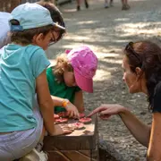 Jeu de piste à Sarzeau (56)