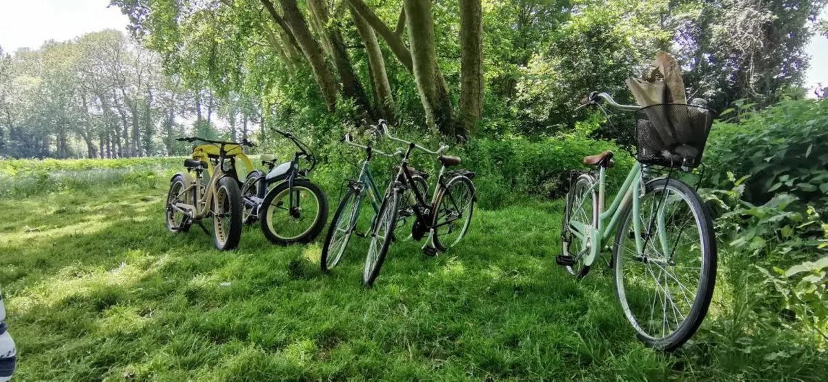 Jeu de piste à vélo dans le Marais poitevin