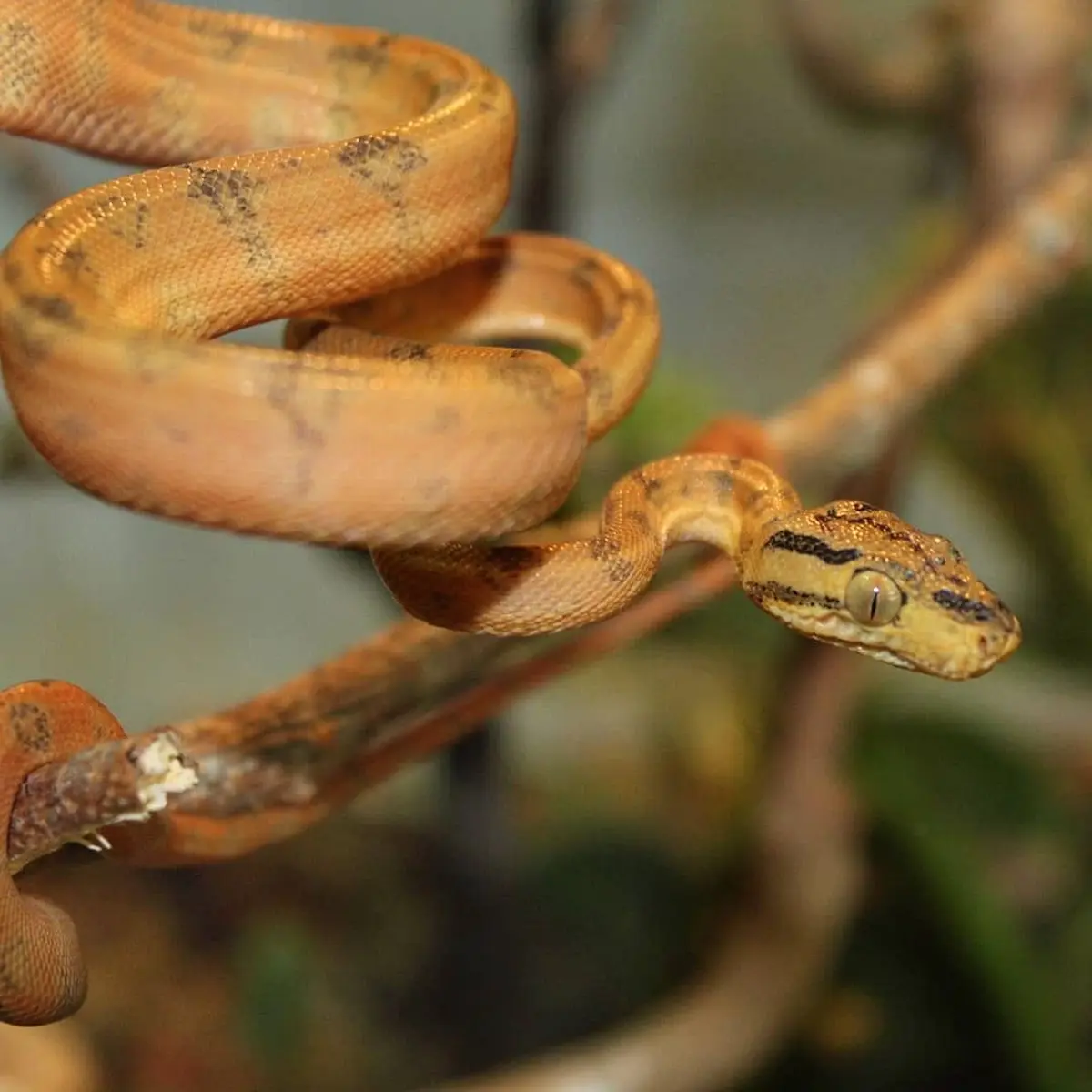 Jeu de piste au Padiparc