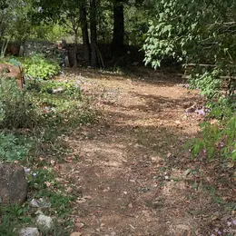 Jeu de piste Curieux de Nature au Jardin Bourian