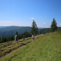 Les paysages grandioses du Markstein DR