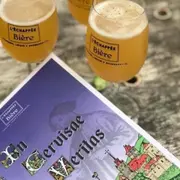 Jeu de piste & dégustation de bières à Strasbourg