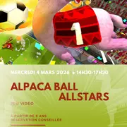 Jeu Vidéo : Alpaca Ball : Allstars