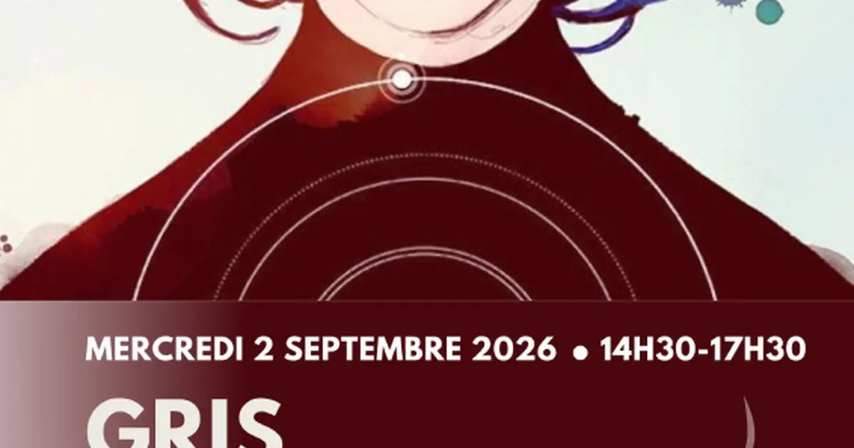 Jeu Vidéo : Gris