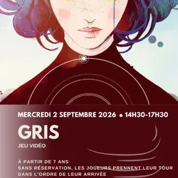 Jeu Vidéo : Gris