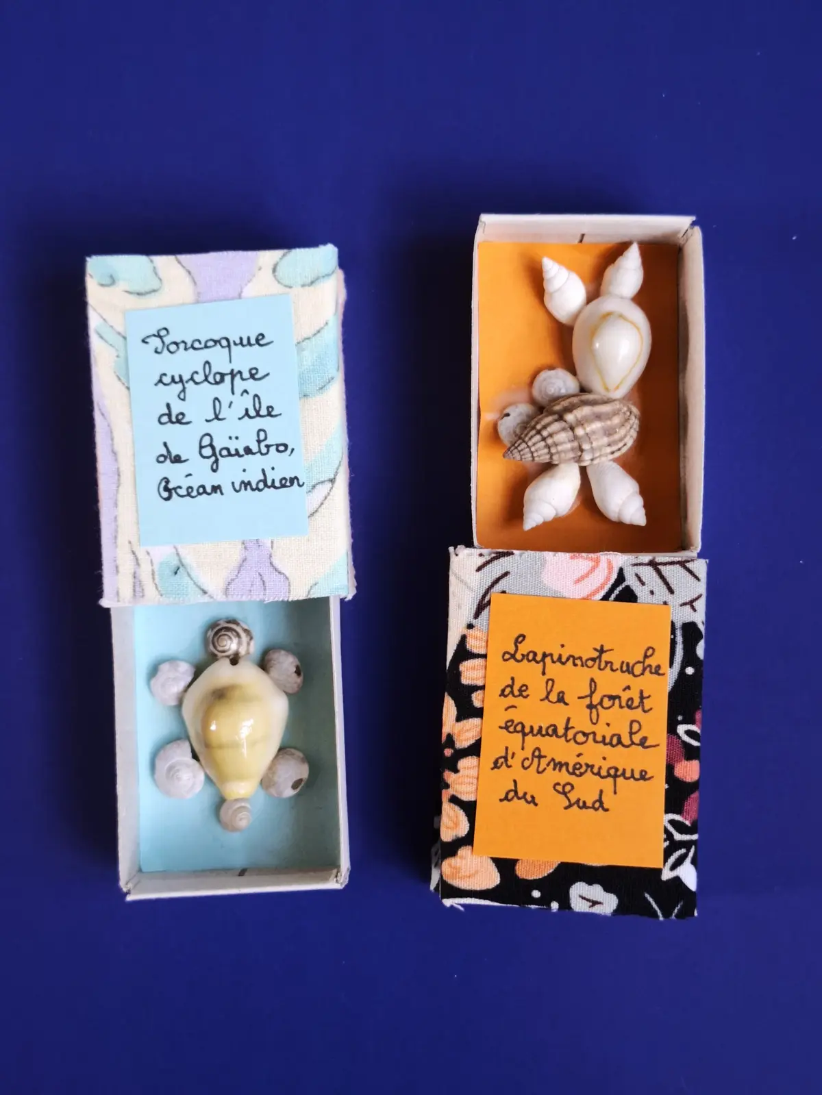 JEU(X)DIS D’ÉTÉ | Atelier créatif Chimère coquillage