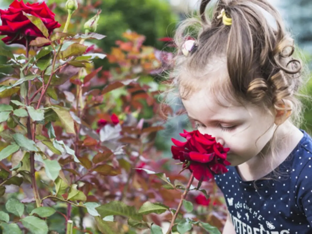 Jeudi des enfants Éveil des sens