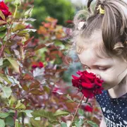 Jeudi des enfants Éveil des sens