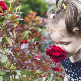 Jeudi des enfants Éveil des sens