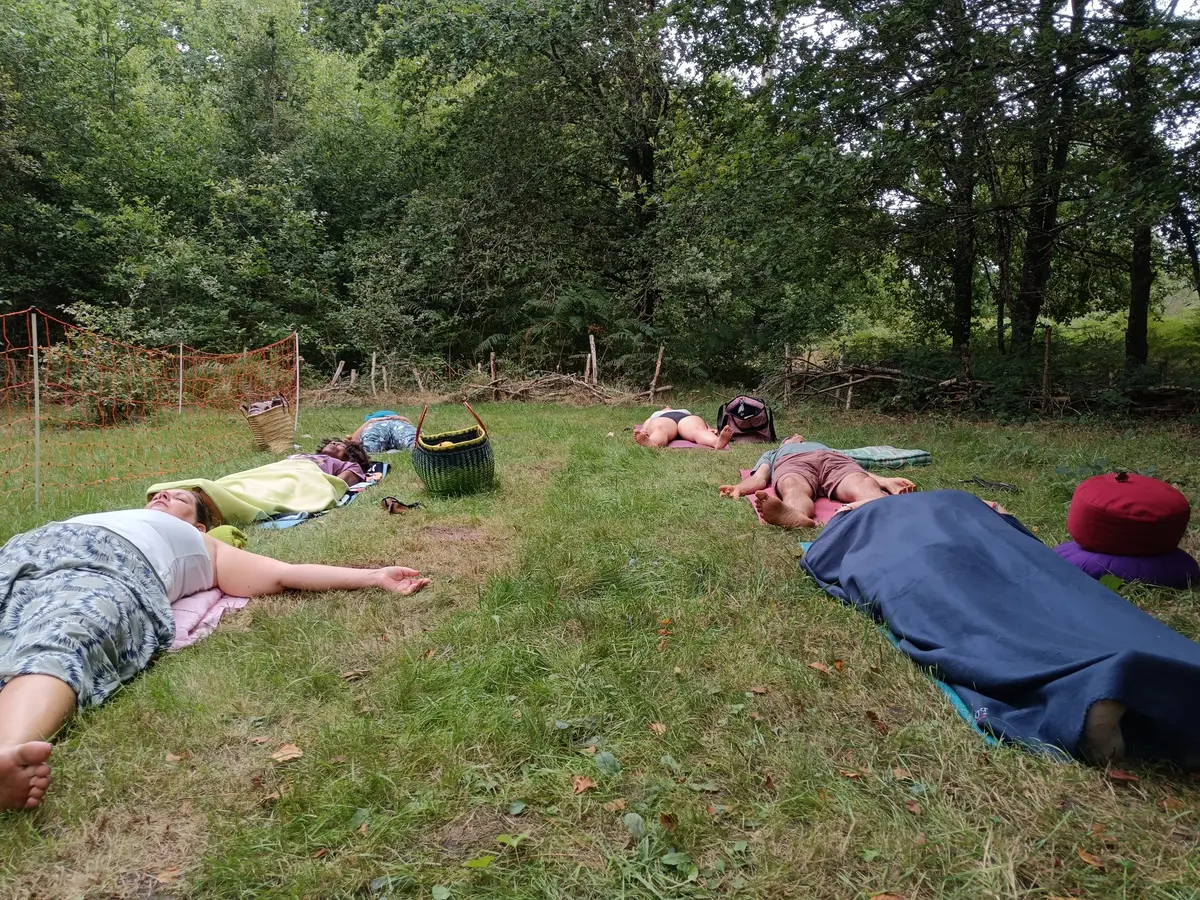 Jeûne, Yoga Et Marche Consciente