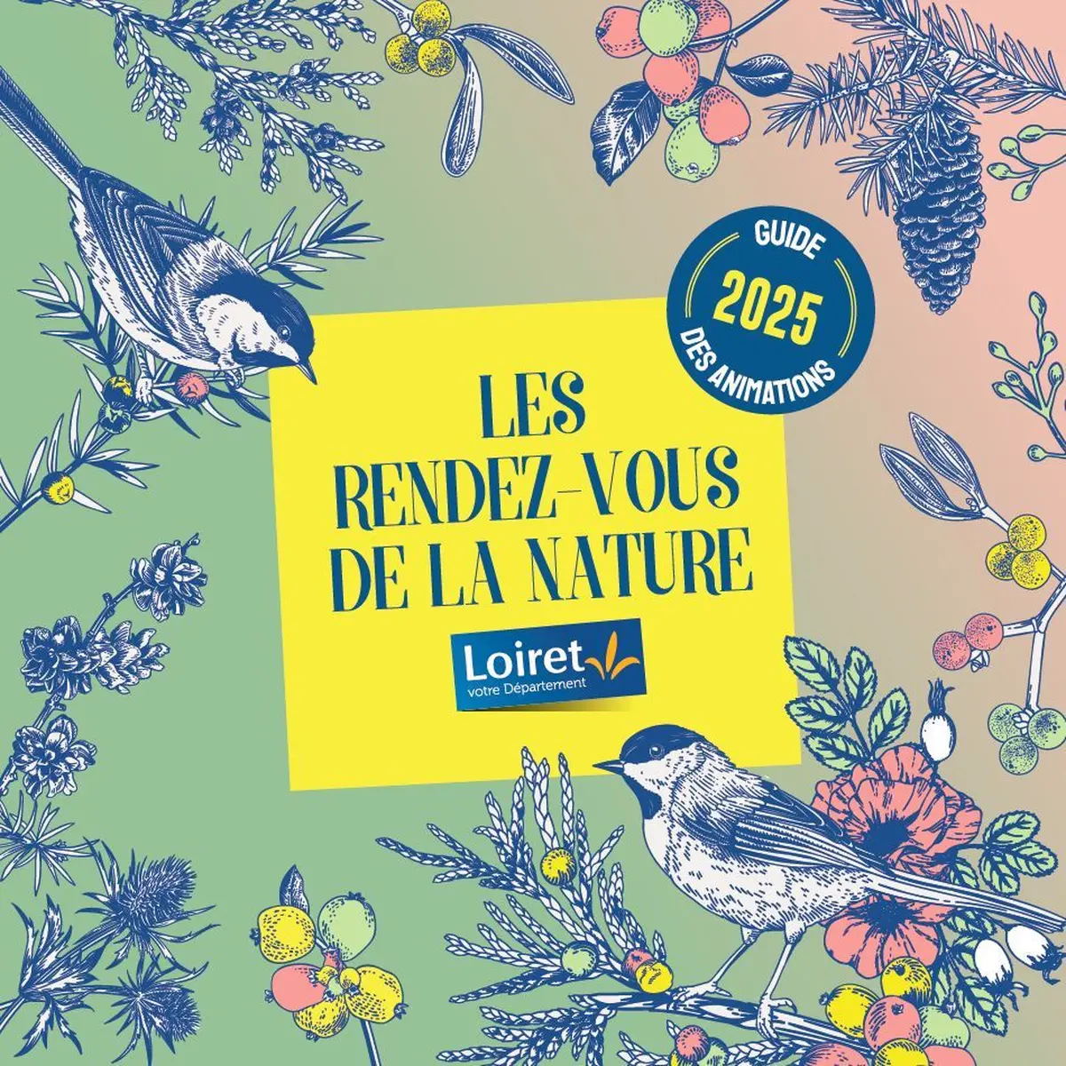 Jeux d'antan et spectacle sons et lumières