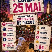 Jeux de Vachettes + Apéro gratuit + Repas