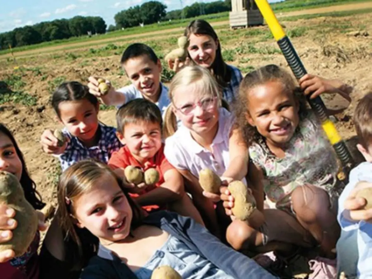 Jeux sur les graines et semis d'été à Montardon (64)