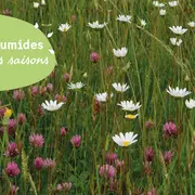 JMZH : A la découverte des fleurs de la Vanne