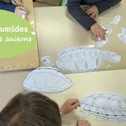 JMZH : les petits déjs nature des enfants : vis ma vie de cistude