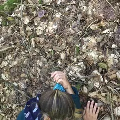 Jouer Et Rêver Dans Les Bois