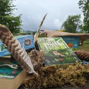 Jouer, une seconde nature !