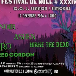 Jour 4 - Festival de Noël # XXXIV