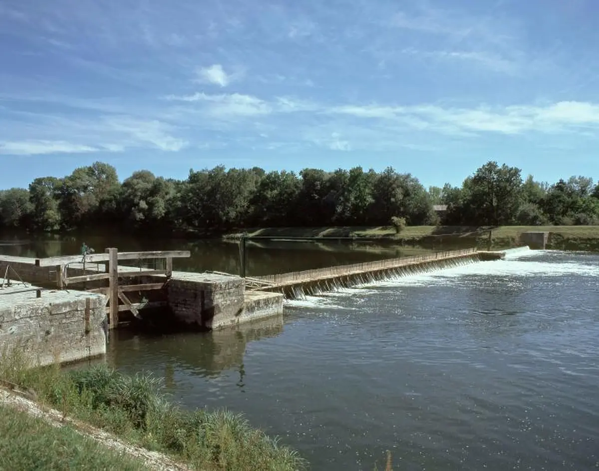 Jour de Cher 2026 - Visite éclair des bords du Cher à Chisseaux