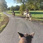 Journee « A Cheval En Nature ! »