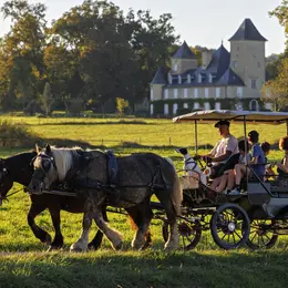 Journée à la ferme, à la Ferme au Bèth Loc