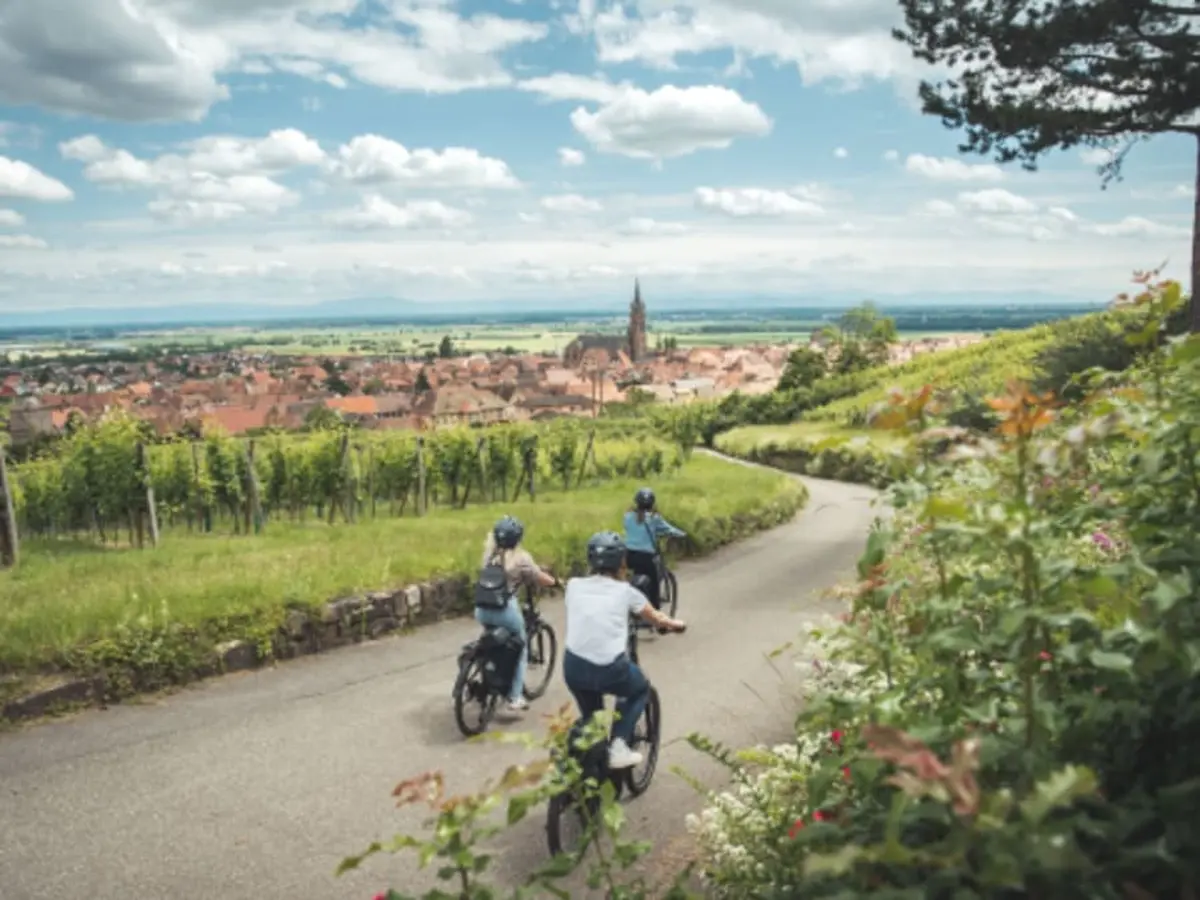 Journée à vélo sur la route des vins d'Alsace depuis Sélestat