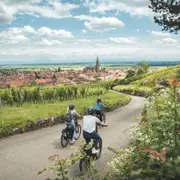 Journée à vélo sur la route des vins d'Alsace depuis Sélestat