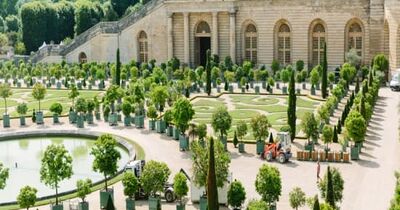 Journ&eacute;e &agrave; Versailles en e-bike : Ch&acirc;teau, Jardins, Hameau & arr&ecirc;t pique-nique