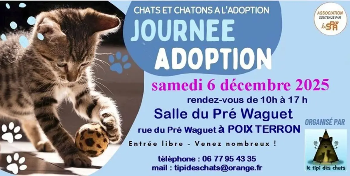 Journée adoption chats et chatons