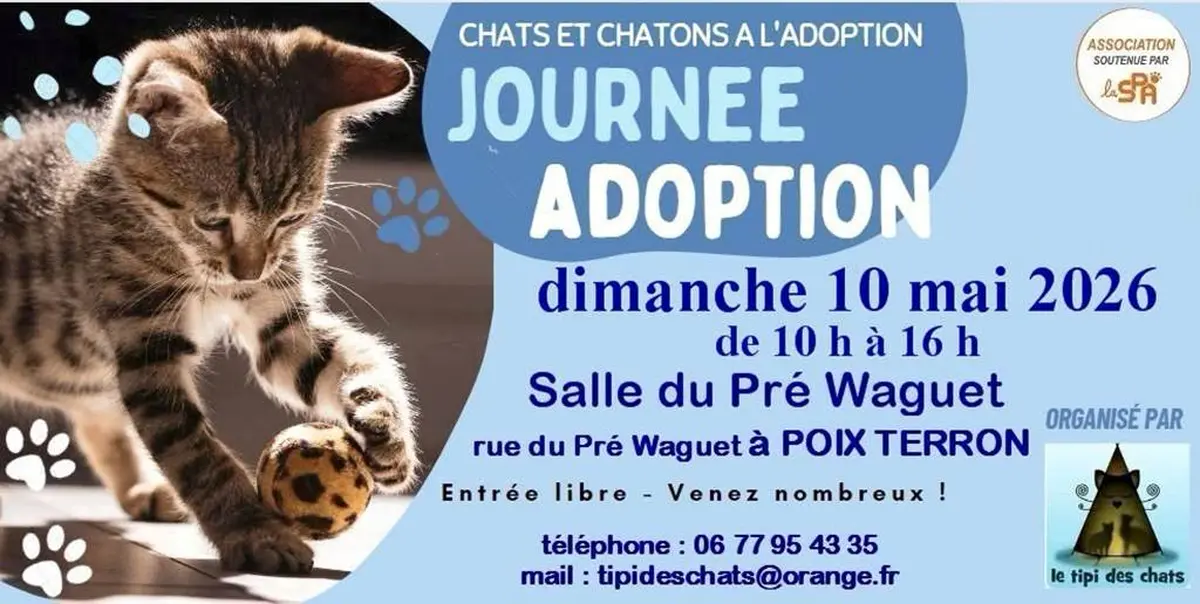 Journée adoption chats et chatons